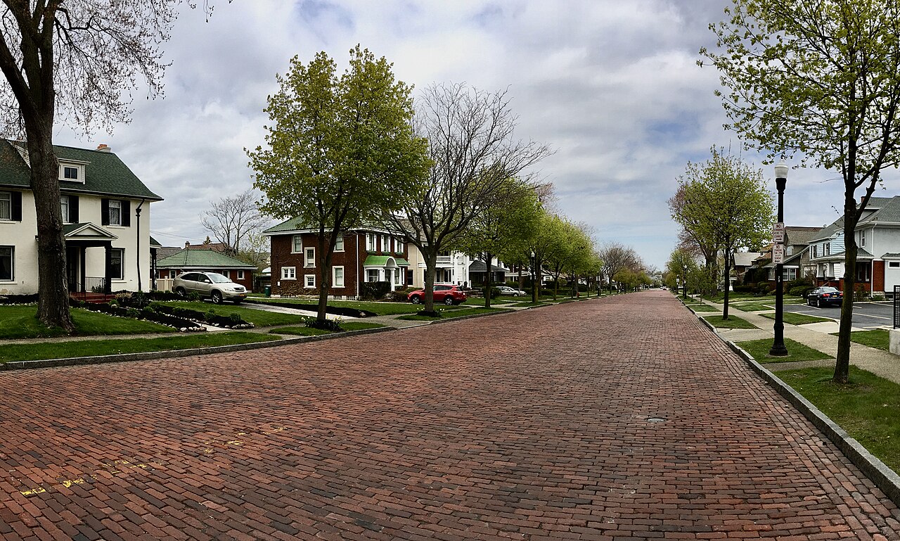 Buffalo Falls