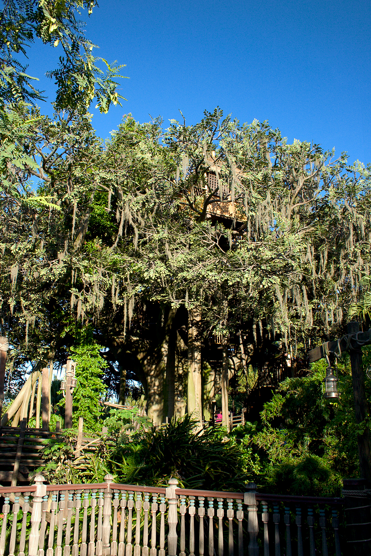 Swiss Family Treehouse
