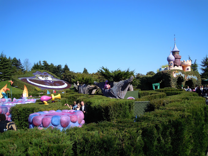 Alice's Curious Labyrinth