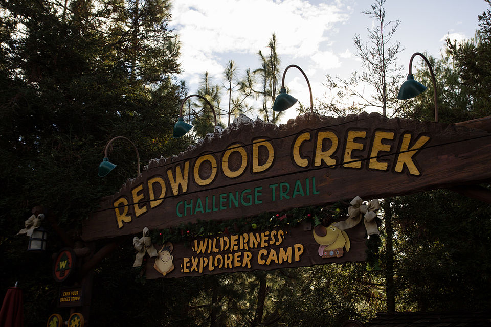Redwood Creek Challenge Trail